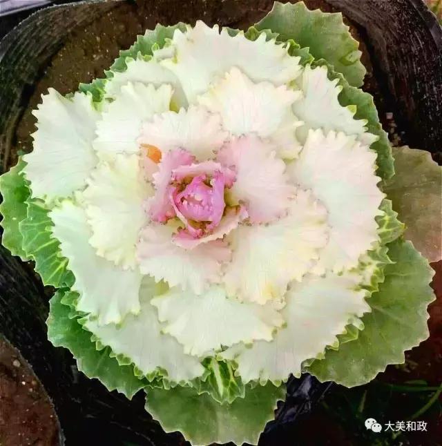 临夏市最新规划,临夏市最新规划，一场探索自然美景的轻松之旅