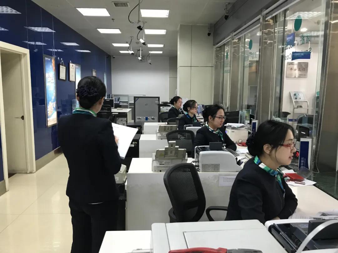 武安最新新闻，城市发展与民生改善动态报告