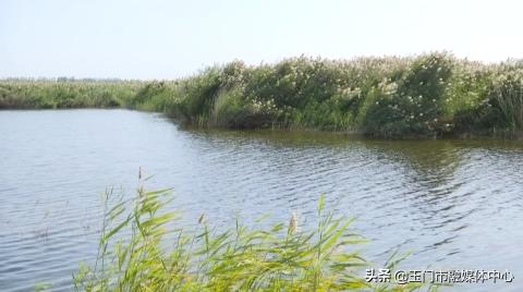 玉门在线最新招聘信息，启程探索自然美景，寻找内心宁静之旅