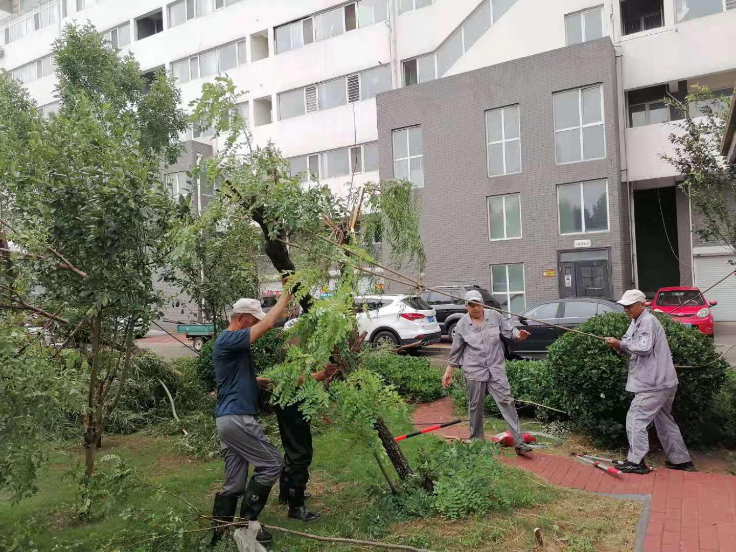 浙江宁波台风最新动态，科技守护安全，智能引领生活