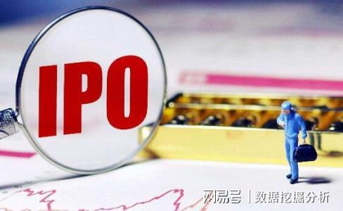IPO最新动态，市场趋势与多方观点深度解析