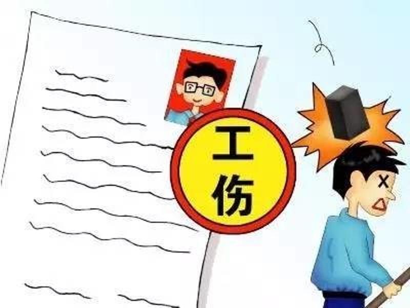 工伤保险条例更新，职场小达人的故事与友情之旅
