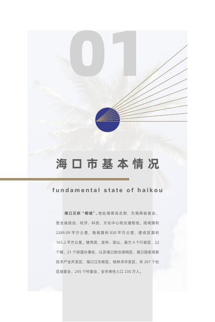 海口最新招商政策解读与招商动态分析