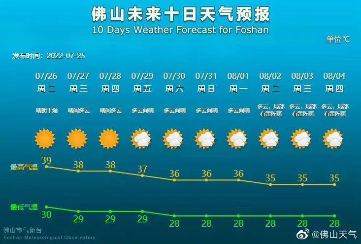 佛山油价最新动态，今日油价及动态解析