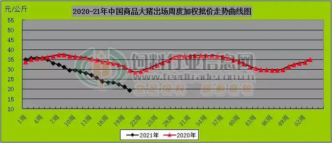 全国猪价最新动态，变化中的机遇与学习自信的交响曲