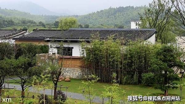 青岛疫情最新来源深度解析及应对之策