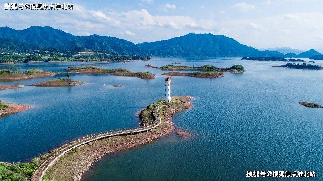 田林最新消息深度解析，观点阐述与分析