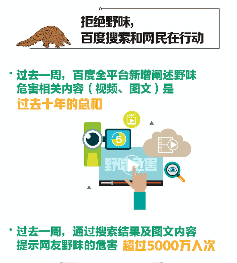 新型肺炎疫情最新动态，变化中的学习铸就自信与成就的力量