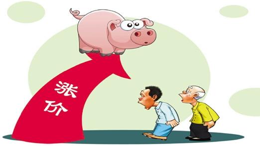 运输服务 第199页