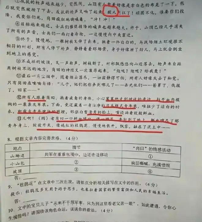 会计最新论文题与自然美景的邂逅，探索内心平静的力量之旅