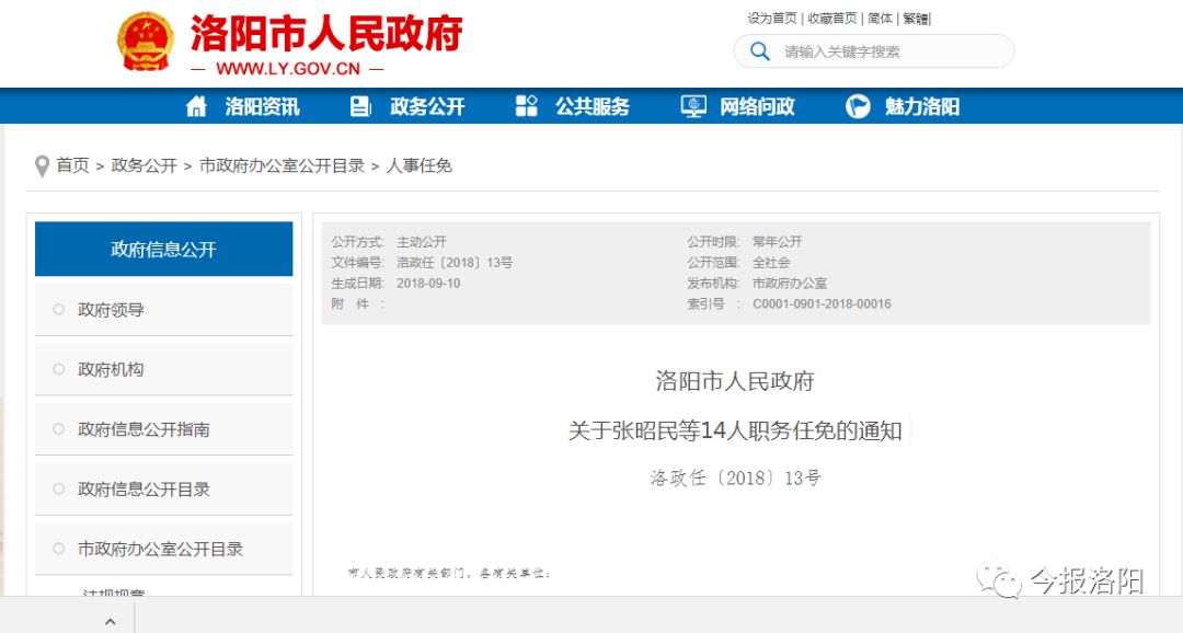 洛阳最新干部公示，人才梯队建设迈入新篇章