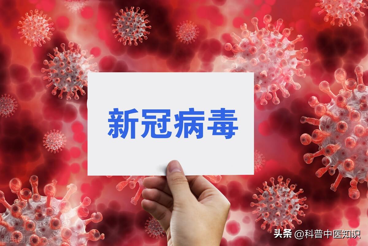 染病疫情最新动态，变化中的学习彰显自信与成就的力量