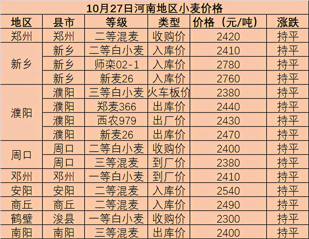 沧州小麦最新价格探秘，小巷麦香秘境揭秘