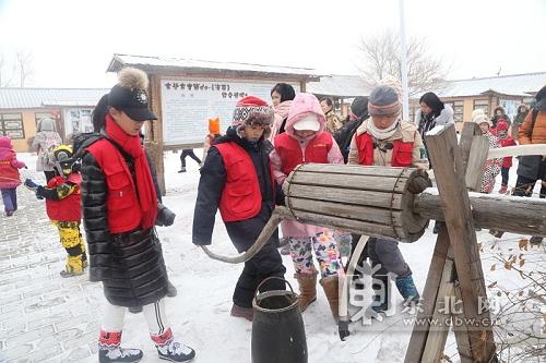 最新龟价与探索自然美景之旅，寻找内心平静之旅