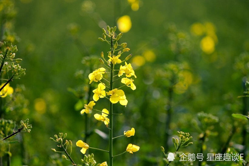青岛物流公司 第97页