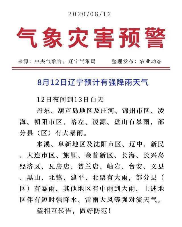 运输服务 第99页