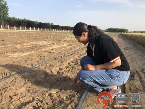 菏泽玉米价格最新行情，变化中的机遇与挑战的自我超越之旅