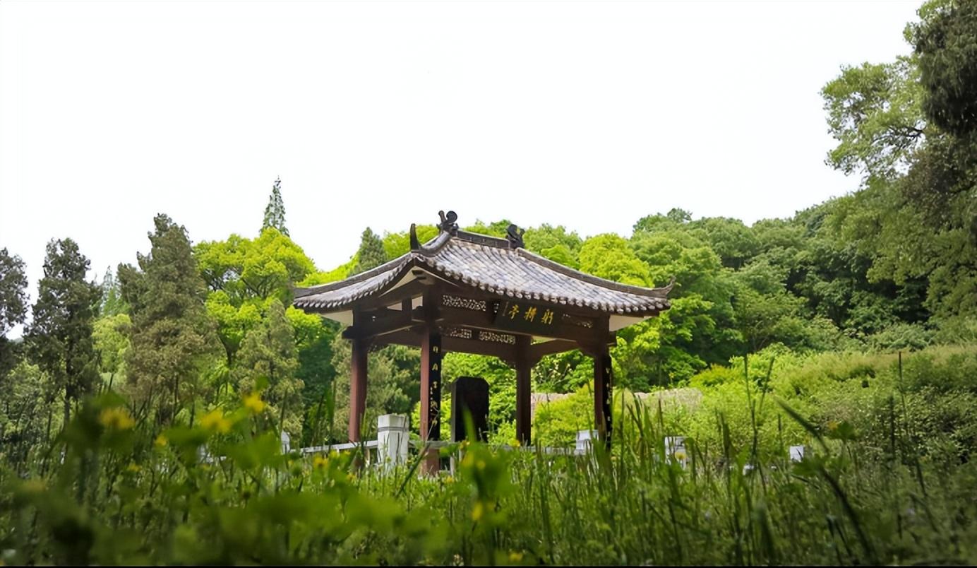 襄阳古城最新动态更新