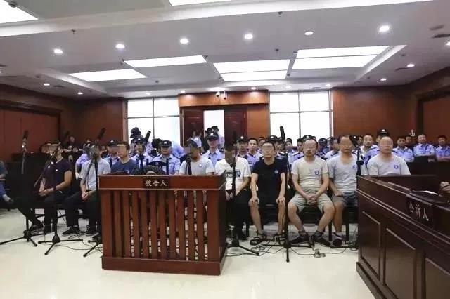 巨野最新消息获取指南，掌握最新动态速递