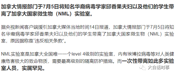 恶之花最新深度解析，复杂性与争议性的探讨