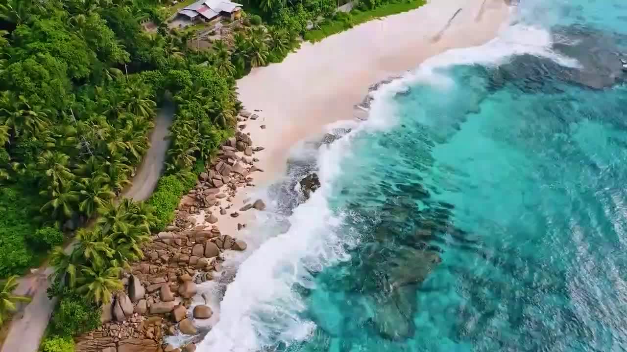 最新大鱼，探寻自然美景，体验内心的宁静与平和之旅