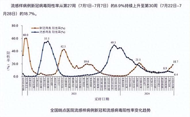 新冠病毒最新数据背后的温馨日常小故事揭秘