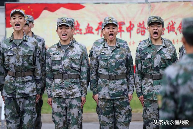 迷彩最新攻略，任务执行与技能学习指南（初学者与进阶用户适用）