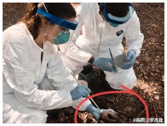 最新炭疽疫情下的温馨日常关注