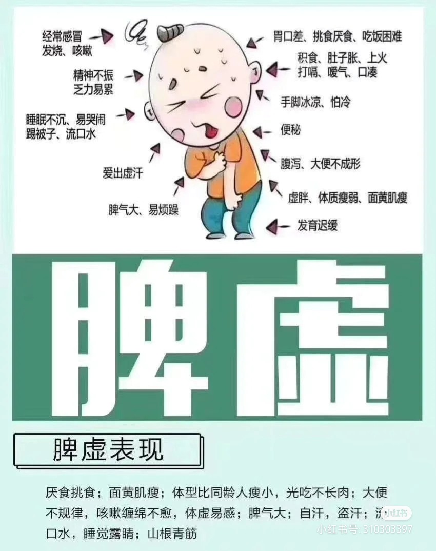 最新脾虚揭秘，真相大揭秘，助你健康养生之路