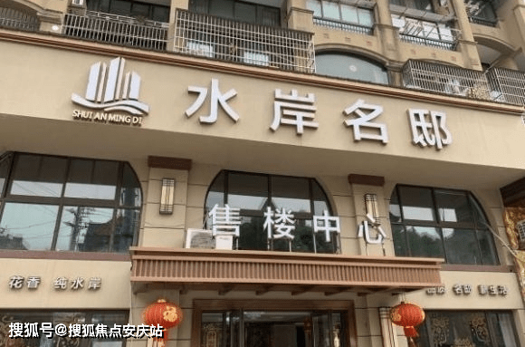 最新ZOE深度解析与观点阐述