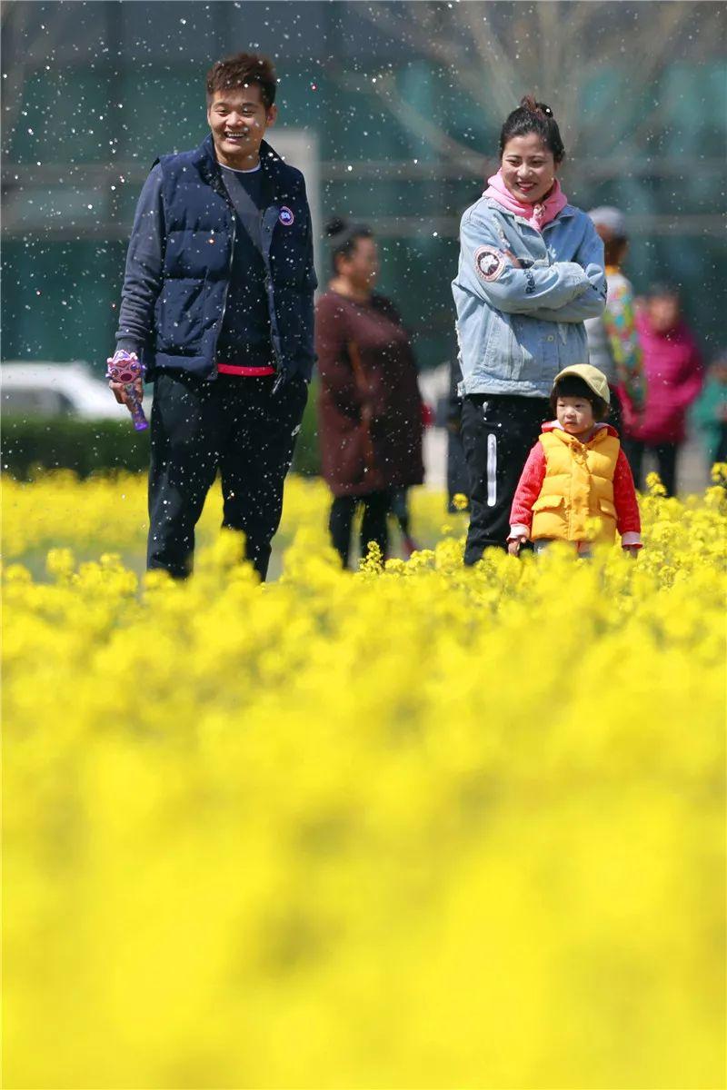 海棠最新,寻找内心平静的绿色旅行之旅