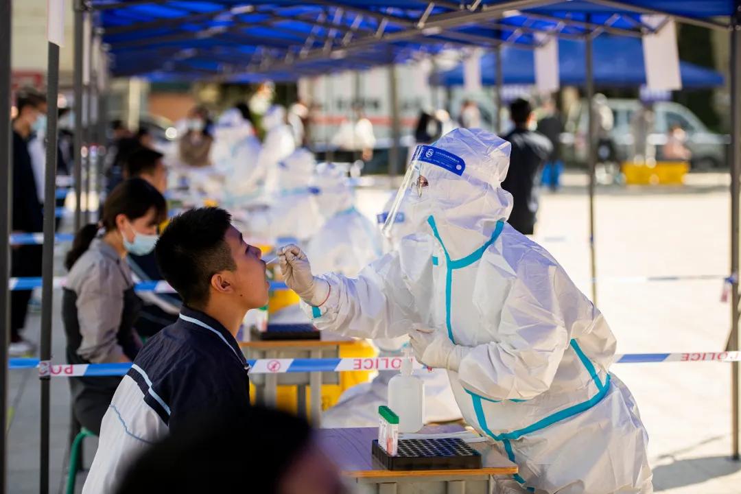 新冠病毒最新动态，观点阐述与综合分析报告